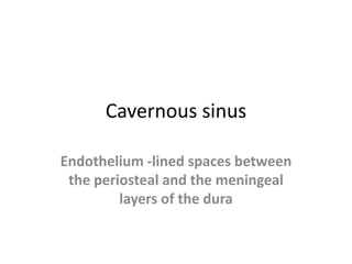 Cavernous sinus
Endothelium -lined spaces between
the periosteal and the meningeal
layers of the dura
 