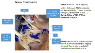 Neural Relationships
IIIrd N.- Runs ant.- lat. & inferiorly.
-enters CS through ROOF, medial to
ant. Petroclinoid lig. Runs in lateral
wall of CS, inferolateral to ACP
During drilling of ACP 3rd N. is
vulnerable to injury.
IVth N.- enters ROOF postero-lateral to
IIIrd N. &inferomedial to free edge of
tent Runs in lateral wall of CS
ateroinferiorly enters in SOF
SUPERIOR
ORBITAL
FISSURE
3rd WITHIN
OCCULOMOTOR
CISTERN
4TH
6TH
(MEDIAL
TO V1)
V1IN THE
MECKEL’S
CAVE
TENTORIAL
EDGE
 