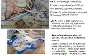 Vth N.- enters through Meckel’s cave.
V1 passes through lateral wall of CS
Runs anteriorly & upwards, enters SOF
V2 passes for a short distance in lateral wall
of CS enters in f. rotundum
VIth N.- enters to CS through Dorello’s
canal runs anteriorly, inferolateral
to ICA in the substance of CS lies
medial to V1 enters in SOF
Sympathetic fiber bundles, with
carotid a. emerges from the foramen
lacerum.
Some of the fibers join the VIth nerve
before ultimately being distributed to
the V1 division sends symp. fibers
to pupillodilator long ciliary nerves
& ciliary ganglion HORNER’S SYN
 