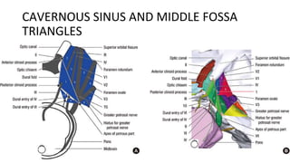 CAVERNOUS SINUS AND MIDDLE FOSSA
TRIANGLES
 