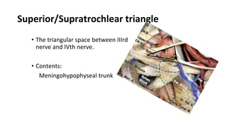 Superior/Supratrochlear triangle
• The triangular space between IIIrd
nerve and IVth nerve.
• Contents:
Meningohypophyseal trunk
 