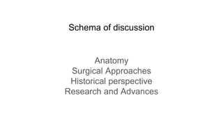 Schema of discussion
Anatomy
Surgical Approaches
Historical perspective
Research and Advances
 