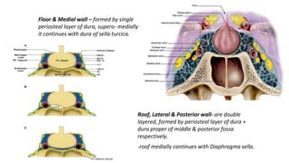 Floor & Medial wall – formed by single
periosteal layer of dura, supero- medially
it continues with dura of sella turcica.
Roof, Lateral & Posterior wall- are double
layered, formed by periosteal layer of dura +
dura proper of middle & posterior fossa
respectively.
-roof medially continues with Diaphragma sella.
 