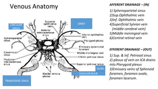 Venous Anatomy
ORBIT
DURA
TRANSVERSE SINUS
JUGULAR BULB
CIRCULAR
SINUS
AFFERENT DRAINAGE – (IN)
1) Sphenoparietal sinus
2)Sup.Ophthalmic vein
3)Inf. Ophthalmic vein
4)Superficial Sylvian vein
(middle cerebral vein)
5)Middle meningeal vein
6)Central retinal vein
EFFERENT DRAINAGE – (OUT)
1) Sup. & Inf. Petrosal sinus
2) plexus of vein on ICA drains
into Pterygoid plexus
3)Emissary veins of Sphenoid
foramen, foramen ovale,
foramen lacerum.
 