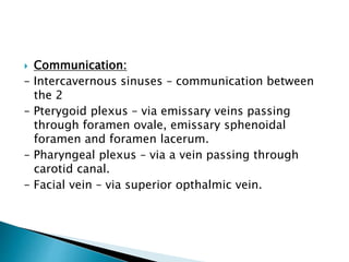  Communication:
– Intercavernous sinuses – communication between
the 2
– Pterygoid plexus – via emissary veins passing
through foramen ovale, emissary sphenoidal
foramen and foramen lacerum.
– Pharyngeal plexus – via a vein passing through
carotid canal.
– Facial vein – via superior opthalmic vein.
 