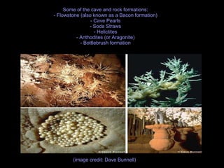 Some of the cave and rock formations: - Flowstone (also known as a Bacon formation) - Cave Pearls - Soda Straws - Helictites - Anthodites (or Aragonite) - Bottlebrush formation (image credit: Dave Bunnell)  