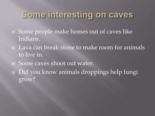  Some people make homes out of caves like
Indians.
 Lava can break stone to make room for animals
to live in.
 Some caves shoot out water.
 Did you know animals droppings help fungi
grow?
 