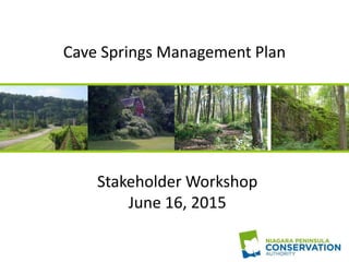 Cave Springs Management Plan
Stakeholder Workshop
June 16, 2015
 