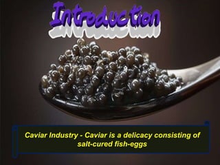 Introduction
Caviar Industry - Caviar is a delicacy consisting of
salt-cured fish-eggs
 