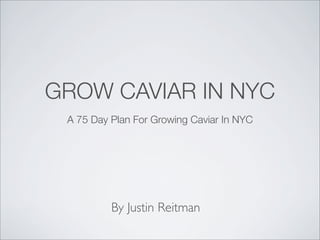 GROW CAVIAR IN NYC
A 75 Day Plan For Growing Caviar In NYC
By Justin Reitman
 