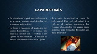LAPAROTOMÍA
• Se visualizara el peritoneo abdominal y
se preparan varias gasas húmedas y el
separador autoestático.
• Se toma y tracciona el peritoneo con
pinzas hemostáticas y se realiza una
pequeña incisión con el bisturí o con
tijeras de metzenbaum. La incisión se
amplía con electrobisturí o con tijeras.
• Se explora la cavidad en busca de
enfermedad. Una vez localizada el área
enferma el cirujano empaqueta las
vísceras abdominales con varias gasas
húmedas para retirarlas del sector que
debe intervenir.
 