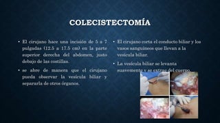 COLECISTECTOMÍA
• El cirujano hace una incisión de 5 a 7
pulgadas (12.5 a 17.5 cm) en la parte
superior derecha del abdomen, justo
debajo de las costillas.
• se abre de manera que el cirujano
pueda observar la vesícula biliar y
separarla de otros órganos.
• El cirujano corta el conducto biliar y los
vasos sanguíneos que llevan a la
vesícula biliar.
• La vesícula biliar se levanta
suavemente y se extrae del cuerpo.
 