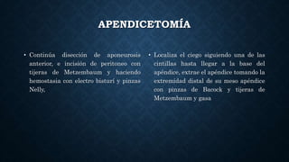 APENDICETOMÍA
• Continúa disección de aponeurosis
anterior, e incisión de peritoneo con
tijeras de Metzembaum y haciendo
hemostasia con electro bisturí y pinzas
Nelly,
• Localiza el ciego siguiendo una de las
cintillas hasta llegar a la base del
apéndice, extrae el apéndice tomando la
extremidad distal de su meso apéndice
con pinzas de Bacock y tijeras de
Metzembaum y gasa
 