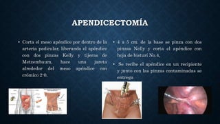 APENDICECTOMÍA
• Corta el meso apéndice por dentro de la
arteria pedicular, liberando el apéndice
con dos pinzas Kelly y tijeras de
Metzembaum, hace una jareta
alrededor del meso apéndice con
crómico 2-0,
• 4 a 5 cm. de la base se pinza con dos
pinzas Nelly y corta el apéndice con
hoja de bisturí No.4,
• Se recibe el apéndice en un recipiente
y junto con las pinzas contaminadas se
entrega
 
