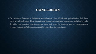 CONCLUSION
• De manera frecuente debemos recordarnos, las divisiones principales del área
ventral del abdomen. Esto lo podemos hacer en cualquier momento, señalando cada
división con nuestro propio cuerpo, para así tener la certeza que no cometeremos
errores cuando señalemos una región específica de esta área.
 