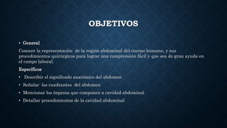 OBJETIVOS
• General
Conocer la representación de la región abdominal del cuerpo humano, y sus
procedimientos quirúrgicos para lograr una comprensión fácil y que sea de gran ayuda en
el campo laboral.
Específicos
• Describir el significado anatómico del abdomen
• Señalar los cuadrantes del abdomen
• Mencionar los órganos que componen a cavidad abdominal
• Detallar procedimientos de la cavidad abdominal
 