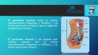 • El peritoneo parietal tiene la misma
vascularización sanguínea y linfática, y la
misma inervación somática, que la región de
la pared que recubre.
• El peritoneo visceral y los órganos que
recubre cuentan con la misma
vascularización sanguínea y linfática, y la
misma inervación visceral.
 
