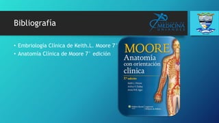 Bibliografía
• Embriología Clínica de Keith.L. Moore 7° edición
• Anatomía Clínica de Moore 7° edición
 