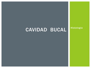 CAVIDAD BUCAL

Histologia

 