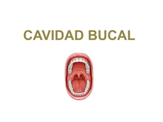 CAVIDAD BUCAL
 