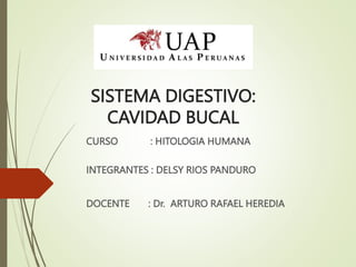 SISTEMA DIGESTIVO:
CAVIDAD BUCAL
CURSO : HITOLOGIA HUMANA
INTEGRANTES : DELSY RIOS PANDURO
DOCENTE : Dr. ARTURO RAFAEL HEREDIA
 