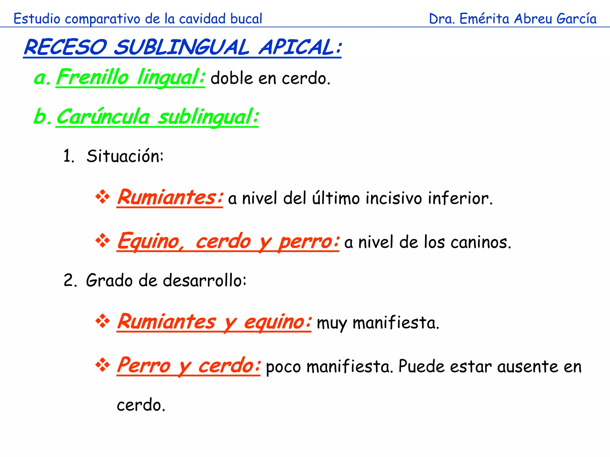 Estudio comparativo de la cavidad bucal              Dra. Emérita Abreu García

 RECESO SUBLINGUAL APICAL:
  a. Frenillo lingual: doble en cerdo.
  b.Carúncula sublingual:
       1. Situación:
                   a
             Rumiantes: a nivel del último incisivo inferior.

             Equino, cerdo y perro: a nivel de los caninos.
       2. Grado de desarrollo:

             Rumiantes y equino: muy manifiesta.

             Perro y cerdo: poco manifiesta. Puede estar ausente en
                cerdo.
 