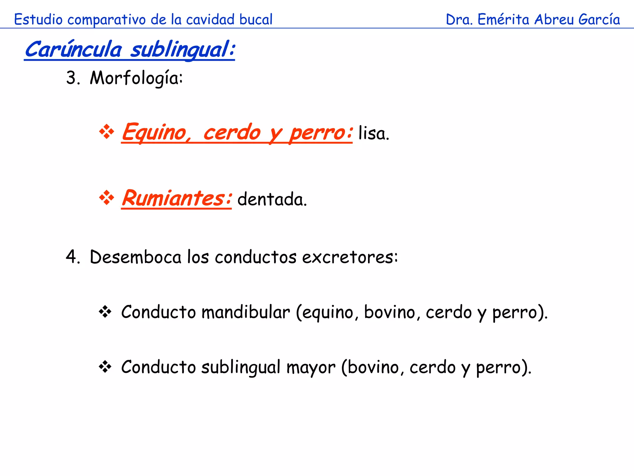 Estudio comparativo de la cavidad bucal              Dra. Emérita Abreu García

 Carúncula sublingual:
       3. Morfología:


             Equino, cerdo y perro: lisa.


                   a
             Rumiantes: dentada.

       4. Desemboca los conductos excretores:


             Conducto mandibular (equino, bovino, cerdo y perro).


             Conducto sublingual mayor (bovino, cerdo y perro).
 