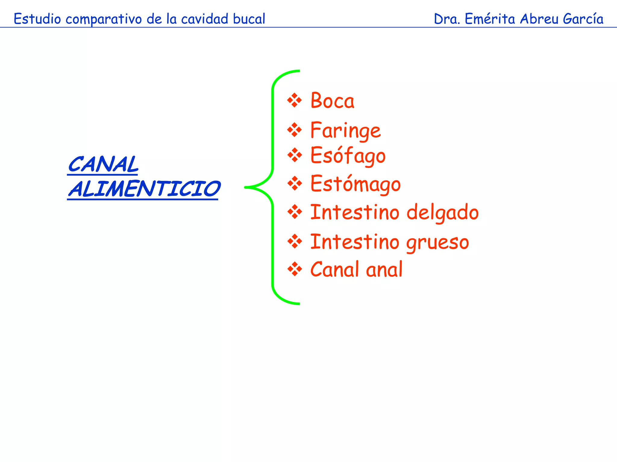 Estudio comparativo de la cavidad bucal                 Dra. Emérita Abreu García




                                           Boca
                                           Faringe
        CANAL                              Esófago
        ALIMENTICIO                        Estómago
                                           Intestino delgado
                                           Intestino grueso
                                           Canal anal
 