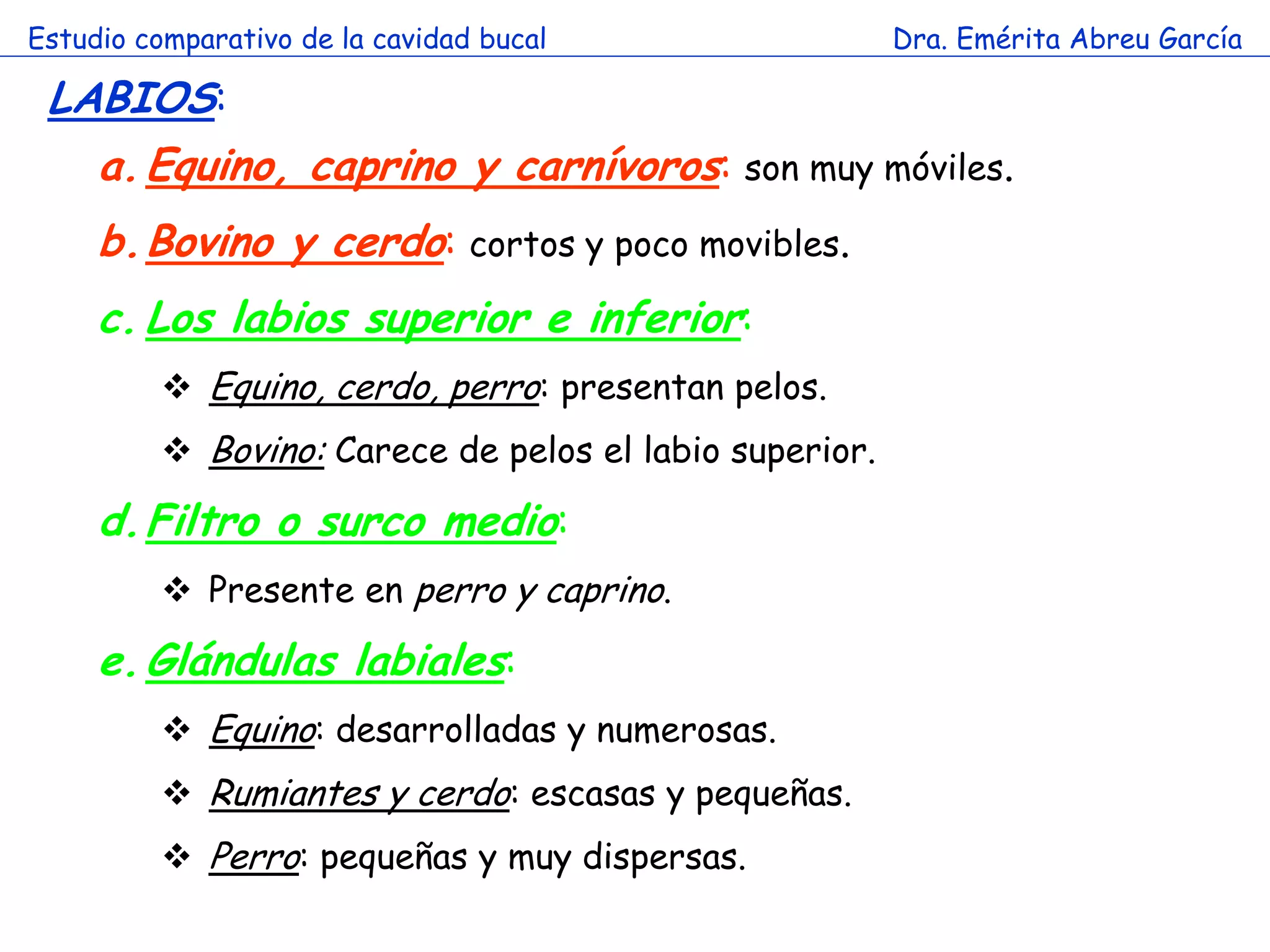 Estudio comparativo de la cavidad bucal                  Dra. Emérita Abreu García

 LABIOS:
     a. Equino, caprino y carnívoros: son muy móviles.
     b.Bovino y cerdo: cortos y poco movibles.
     c. Los labios superior e inferior:
           Equino, cerdo, perro: presentan pelos.
           Bovino: Carece de pelos el labio superior.

     d. Filtro o surco medio:
           Presente en perro y caprino.

     e. Glándulas labiales:
           Equino: desarrolladas y numerosas.
           Rumiantes y cerdo: escasas y pequeñas.
           Perro: pequeñas y muy dispersas.
 