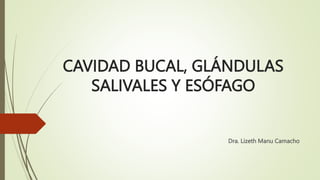 CAVIDAD BUCAL, GLÁNDULAS
SALIVALES Y ESÓFAGO
Dra. Lizeth Manu Camacho
 