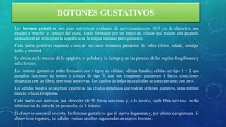 BOTONES GUSTATIVOS
Los botones gustativos son unas estructuras ovaladas, de aproximadamente 0,03 cm de diámetro, que
ayudan a percibir el sentido del gusto. Están formados por un grupo de células que rodean una pequeña
cavidad con un orificio en la superficie de la lengua llamado poro gustativo.
Cada botón gustativo responde a uno de los cinco estímulos primarios del sabor (dulce, salado, amargo,
ácido y umami)
Se ubican en la mucosa de la epiglotis, el paladar y la faringe y en las paredes de las papilas fungiformes y
caliciformes.
Los botones gustativos están formados por 4 tipos de células: células basales; células de tipo 1 y 2 que
cumplen funciones de sostén y células de tipo 3, que son receptores gustativos y hacen conexiones
sinápticas con las fibras nerviosas sensitivas. Los cuellos de todas estas células se conectan unas con otro.
Las células basales se originan a partir de las células epiteliales que rodean al botón gustativo, estas forman
nuevas células receptoras.
Cada botón esta inervado por alrededor de 50 fibras nerviosas y, a la inversa, cada fibra nerviosa recibe
información de entrada, en promedio, de 5 botones.
Si el nervio sensorial se corta, los botones gustativos que él inerva degeneran y, por ultimo desaparecen. Si
el nervio se regenera, las células vecinas resultan organizadas en nuevos botones.
 