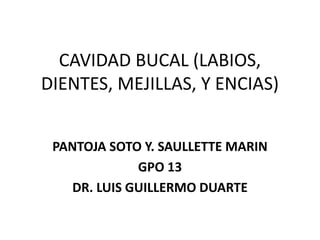 CAVIDAD BUCAL (LABIOS,
DIENTES, MEJILLAS, Y ENCIAS)
PANTOJA SOTO Y. SAULLETTE MARIN
GPO 13
DR. LUIS GUILLERMO DUARTE
 