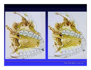 Prof. Peter Reher, CD, MSc, PhD
Prof. Peter Reher, CD, MSc, PhD
 