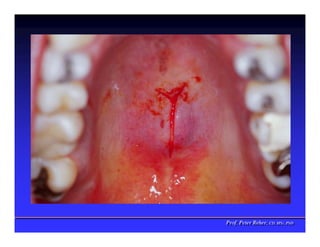 Prof. Peter Reher, CD, MSc, PhD
Prof. Peter Reher, CD, MSc, PhD
 