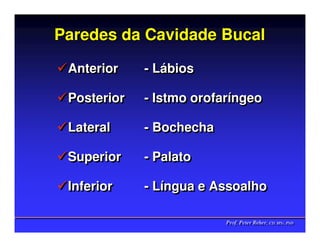 Paredes da Cavidade Bucal

 Anterior    - Lábios
               Lábios

 Posterior   - Istmo orofaríngeo
                     orofaríngeo

 Lateral     - Bochecha

 Superior    - Palato

 Inferior    - Língua e Assoalho
               Língua

                          Prof. Peter Reher, CD, MSc, PhD
                          Prof. Peter Reher, CD, MSc, PhD
 