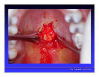 Prof. Peter Reher, CD, MSc, PhD
Prof. Peter Reher, CD, MSc, PhD
 