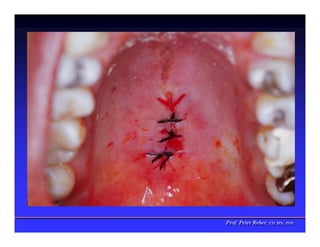 Prof. Peter Reher, CD, MSc, PhD
Prof. Peter Reher, CD, MSc, PhD
 