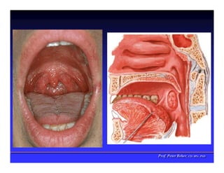 Prof. Peter Reher, CD, MSc, PhD
Prof. Peter Reher, CD, MSc, PhD
 