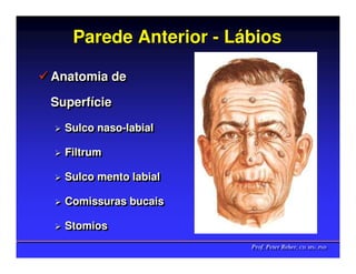 Parede Anterior - Lábios

Anatomia de
Anatomia de
Superfície
Superfície
  Sulco naso-labial
  Sulco naso-labial

  Filtrum
  Filtrum

  Sulco mento labial
  Sulco mento labial

  Comissuras bucais
  Comissuras bucais

  Stomios
  Stomios
                       Prof. Peter Reher, CD, MSc, PhD
                       Prof. Peter Reher, CD, MSc, PhD
 