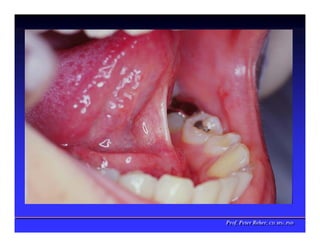 Prof. Peter Reher, CD, MSc, PhD
Prof. Peter Reher, CD, MSc, PhD
 