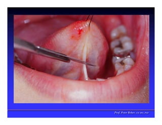 Prof. Peter Reher, CD, MSc, PhD
Prof. Peter Reher, CD, MSc, PhD
 