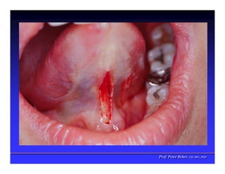 Prof. Peter Reher, CD, MSc, PhD
Prof. Peter Reher, CD, MSc, PhD
 