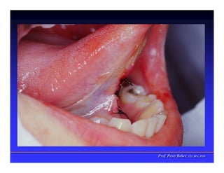 Prof. Peter Reher, CD, MSc, PhD
Prof. Peter Reher, CD, MSc, PhD
 