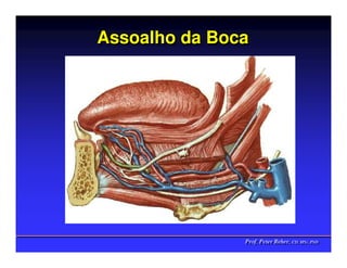 Assoalho da Boca




               Prof. Peter Reher, CD, MSc, PhD
               Prof. Peter Reher, CD, MSc, PhD
 