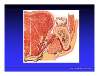 Prof. Peter Reher, CD, MSc, PhD
Prof. Peter Reher, CD, MSc, PhD
 