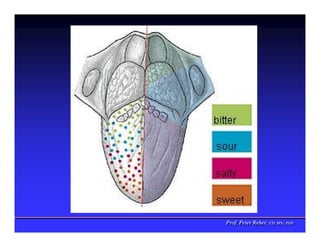 Prof. Peter Reher, CD, MSc, PhD
Prof. Peter Reher, CD, MSc, PhD
 