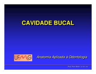 CAVIDADE BUCAL
CAVIDADE BUCAL




   Anatomia Aplicada à Odontologia
   Anatomia Aplicada à Odontologia

                      Prof. Peter Reher, CD, MSc, PhD
                      Prof. Peter Reher, CD, MSc, PhD
 
