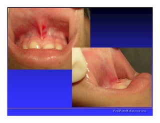 PPrrooff..PPeetteerrRReehheerr,,C
C
D
D
,
,
M
M
S
S
c
c
,
,
P
P
h
h
D
D
 