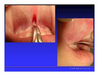 PPrrooff..PPeetteerrRReehheerr,,C
C
D
D
,
,
M
M
S
S
c
c
,
,
P
P
h
h
D
D
 