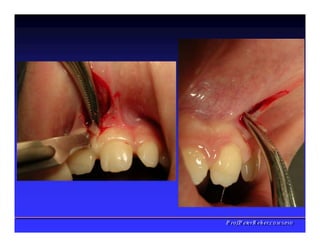 PPrrooff..PPeetteerrRReehheerr,,C
C
D
D
,
,
M
M
S
S
c
c
,
,
P
P
h
h
D
D
 